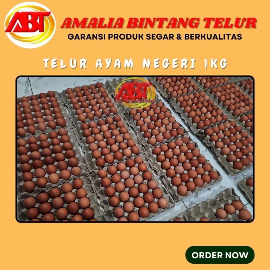 

Telur Ayam Negeri 1kg Berkualitas & Segar