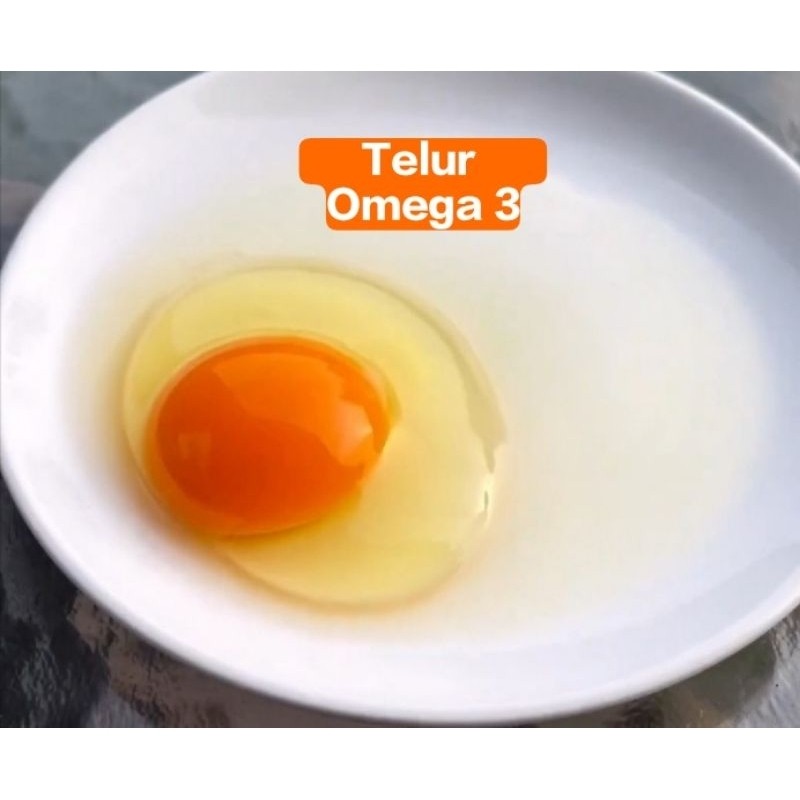 

TELUR AYAM OMEGA 3 PREMIUM 1KG (15-18butir)