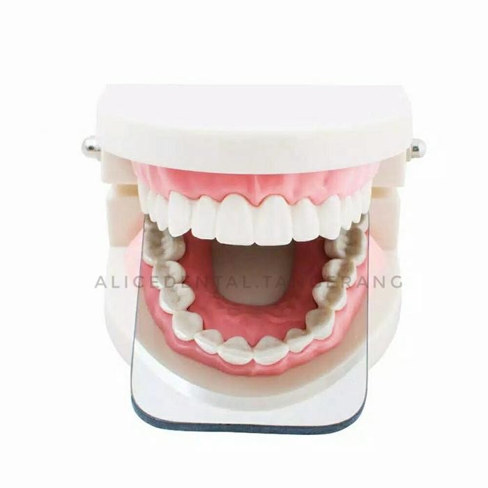 Cermin Intraoral Kaca Intra Oral Rhodium Mirror Dental Photography Io
