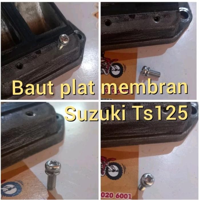 Baut Plat Membran Ts125 Baut Membran Ts125 Baut Reed Valve Ts125 Baut Harmonika Ts125
