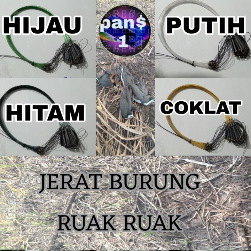 jerat racik burung ruak ruak