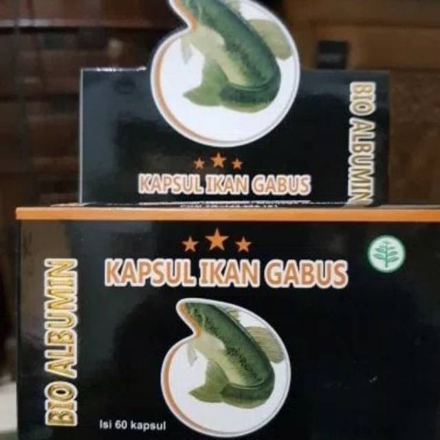 Bio Albumin kapsul ikan gabus