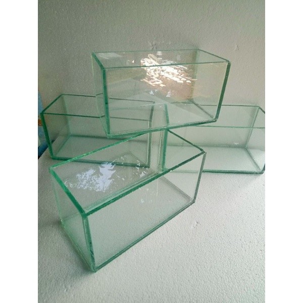 AQUARIUM MINI  15X10X10 AQUARIUM CHANA  AQUARIUM IKAN CHANA AQUARIUM CHANNA AKWARIUM