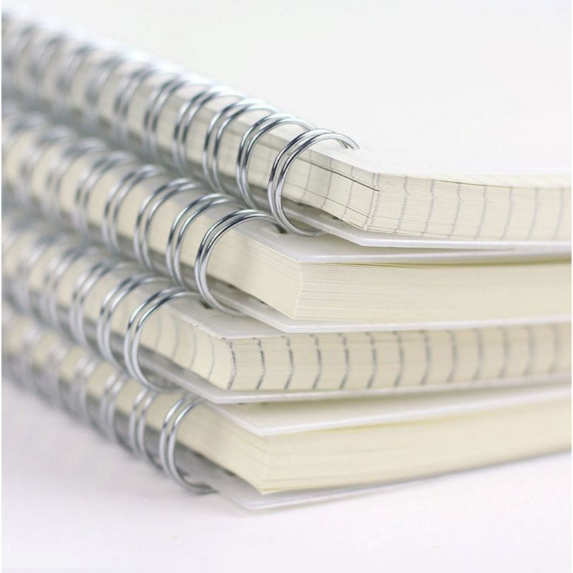 

A5 Silver Double Coil Ring Spiral Notebook Transparent Pp Cover 80 Sheets Blank Ruled Dot Grid Graph