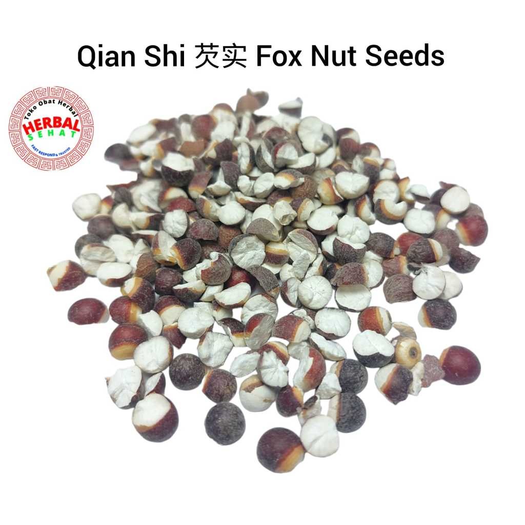 

Qian Shi 50 Gram Fox Nut / Qianshi Euryale Seed Khiamsik [PREMIUM]
