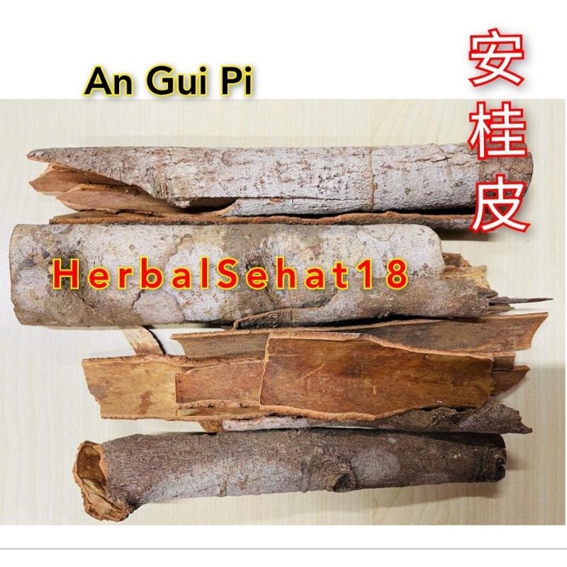 

10gr Herbal Rou Gui / Cinnamomum Cassia Presl Grade A [PREMIUM]