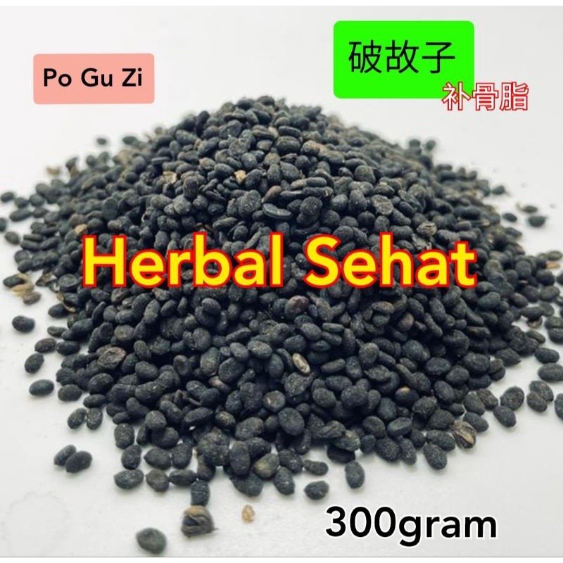 

300 gram - Bu Gu Zhi - Po Gu Zi Psoralea Fructus Malaytea - Pho Ku Ci [PREMIUM]