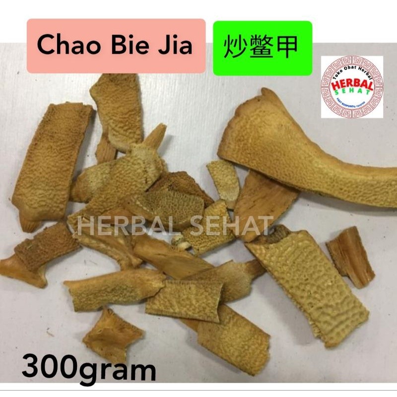 

Bie Jia 300 Gram Trionyx Sinensis Wiegmann [PREMIUM]