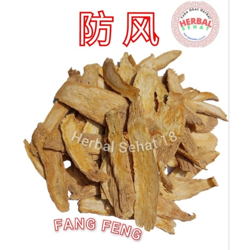 

Fang Feng 300 Gram Fong Fung - Fangfeng Radix Ledebouriellae Divaricatae [PREMIUM]