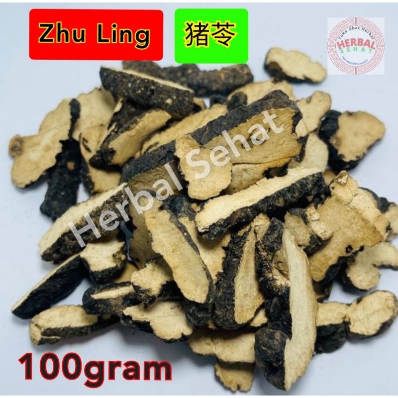 

100gram Zhu Ling - [ ] - Sclerotium Polypori Umbellati 100gram [PREMIUM]
