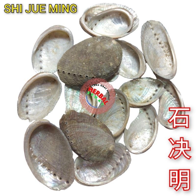 

Shi Jue Ming 600gram Abalone Shell Concha Haliotidis [PREMIUM]