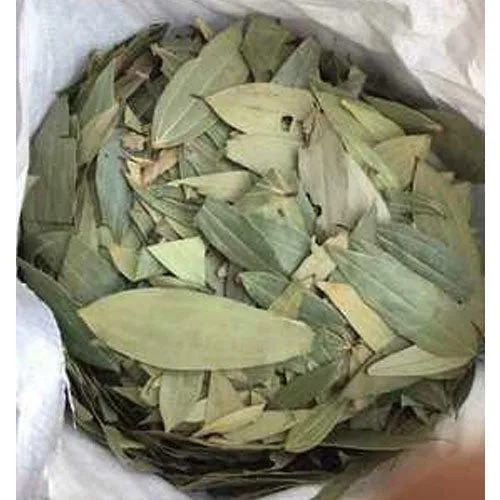 

SANS BAY LEAVES 1 KG / Daun Salam Arab 1 KG / Daun salam india 1 KG / Tejj Patta 1 KG Bay Leaf 1 kg