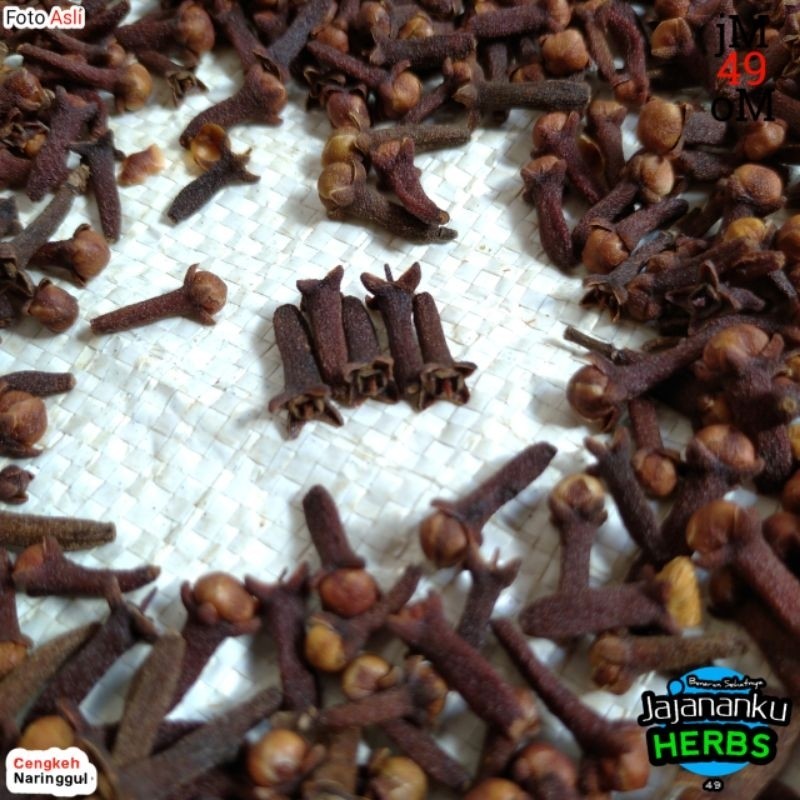 

SANS Cengkeh 1 Kg Bumbu Masak Rempah Berkualitas Pilihan