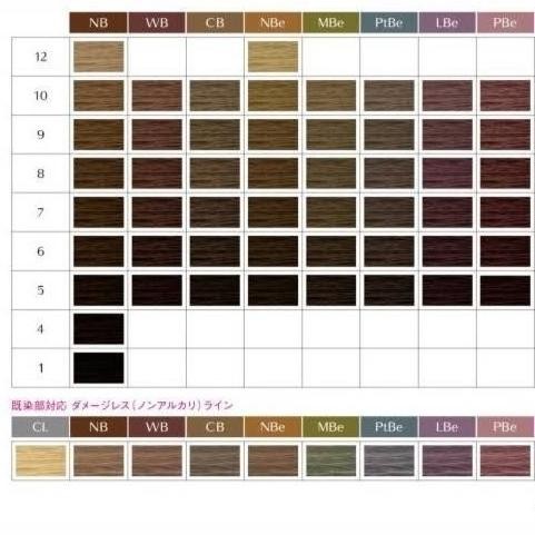 shiseido prience hair color pewarna rambut natural brown + oxydan