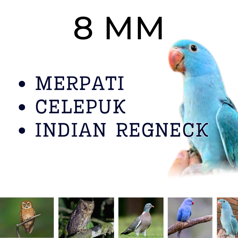 RB22 Rantai Burung Falk, Nuri, Kakatua, Afgrey Omega Ring Borgol Kaki Burung Parkit Australia