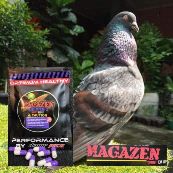 Langsung Gas. Magazen Kal 2 /Jamu Suplemen Merpati Kolong