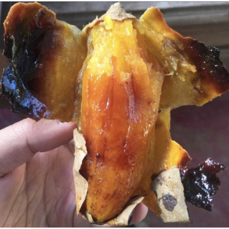 

Ubi Madu Cilembu ( Asli )