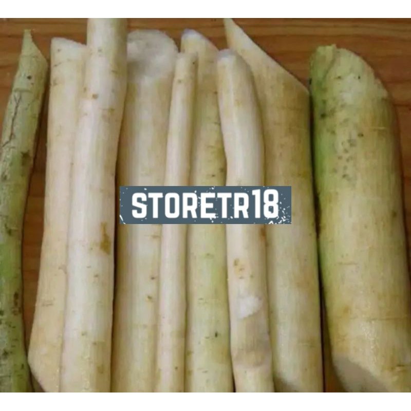 

Akar pepaya gantung segar khusus akar pepaya gantung paket 500 gram