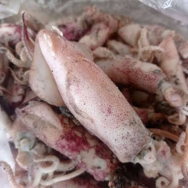 

Terlaris! cumi asin rebus size sedang
