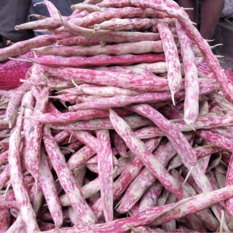 

Terlaris! Kacang Merah Kulit 1 Kg