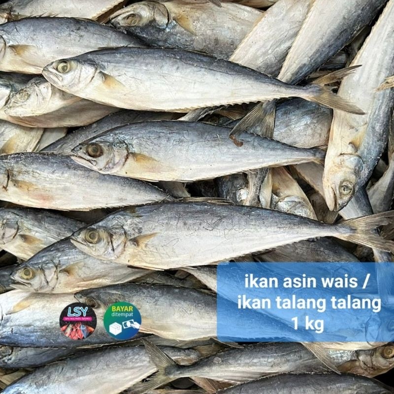 

Terlaris! ikan asin wais / ikan talang-talang 1 gram