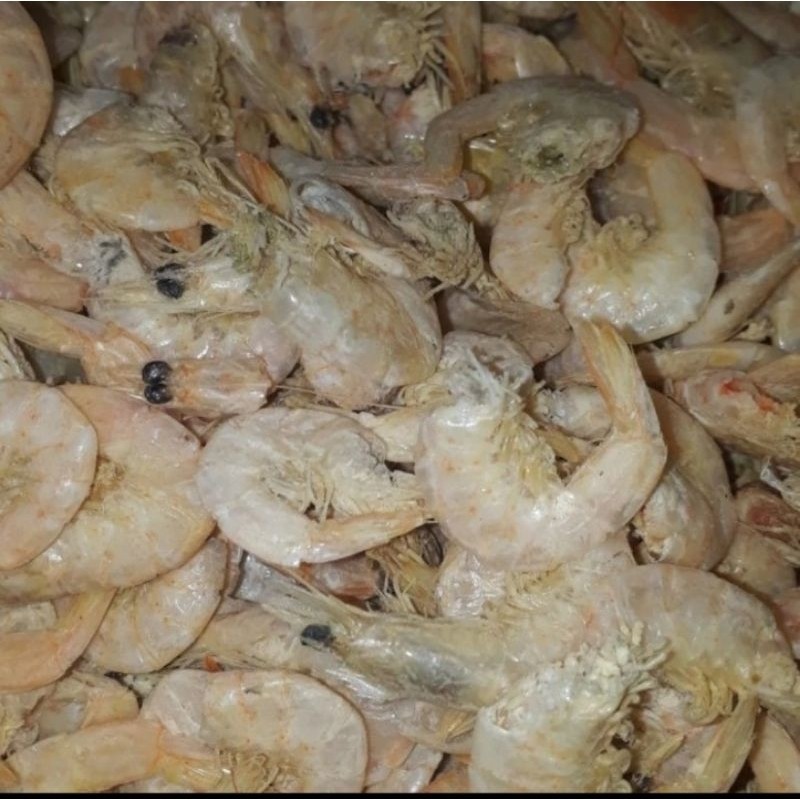 

Terlaris! Udang Manis Super Khas Medan 250gr gr 1gr