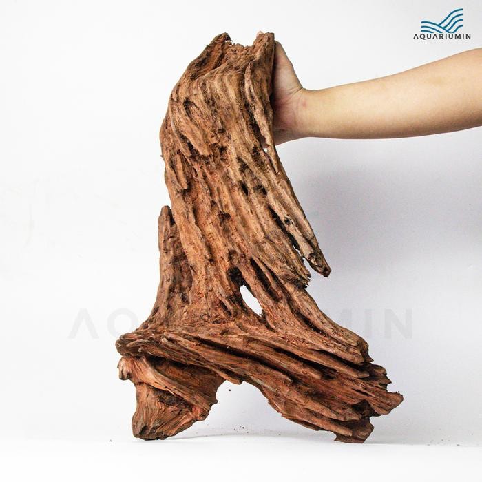 Kayu Rentek / Rentek Wood Size XL Aquascape/ Aquarium