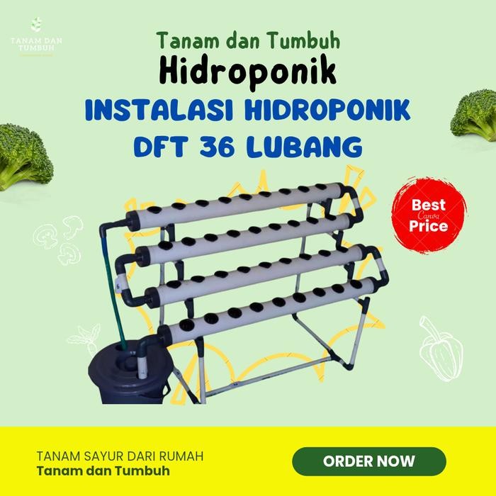 Terlaris Hidroponik Dft 36 Lubang Hidroponik Sayuran Sistem Dft