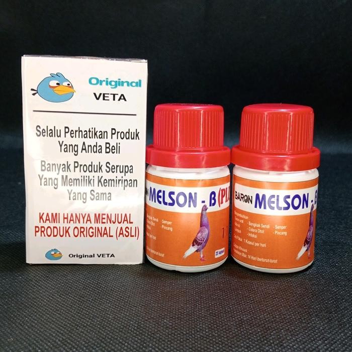 MELSON B (PLUS) BARON BURUNG MERPATI SAKIT LUMPUH PINCANG MELSON B KESEHATAN BURUNG