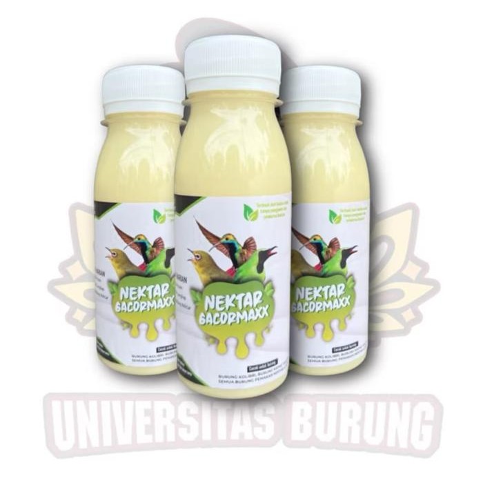 NEKTAR GACORMAXX (PU71H) PLECI SOGON COLIBRI GACOR MAXX MAKANAN BURUNG PELIHARAAN