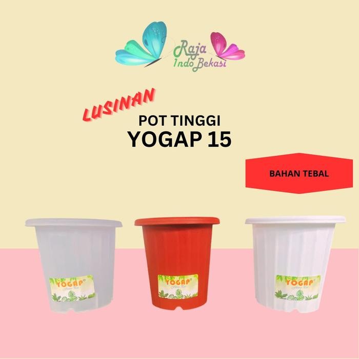 RAJA INDO LUSINAN Pot Yogap 15 isi 12 pcs Pot Yogap 15 Putih Transparan Merah Bata Pot Bunga Hias