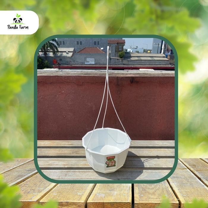 Pot Gantung Gardenia No 10 Putih - Lion Star