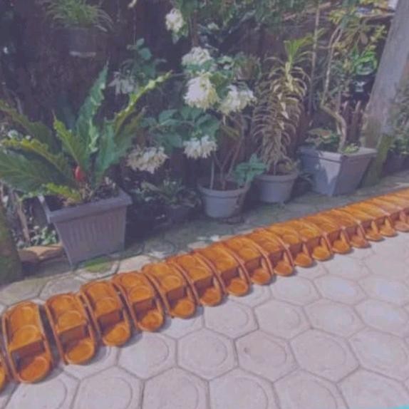 RAK BUNGA SUKULEN DUA SUSUN MODEL LENGKUNG EMPAT LUBANG DARI KAYU JATI