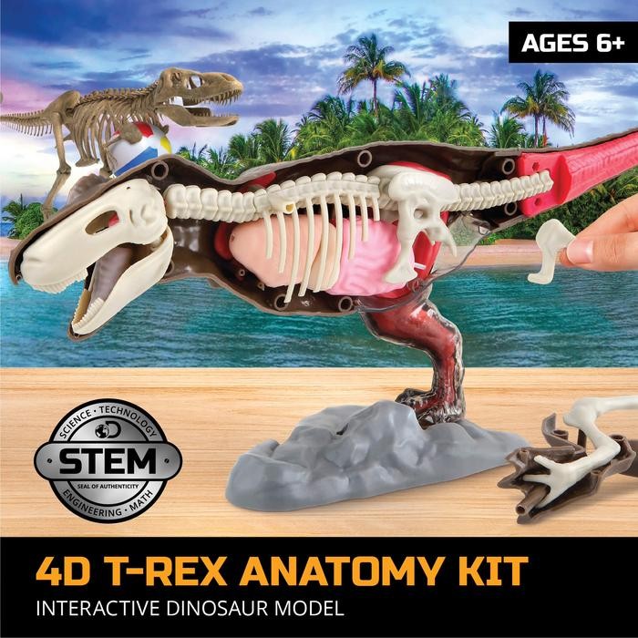 Discovery Mindblown 4D T-Rex Dinosaur Anatomy Kit Interactive
