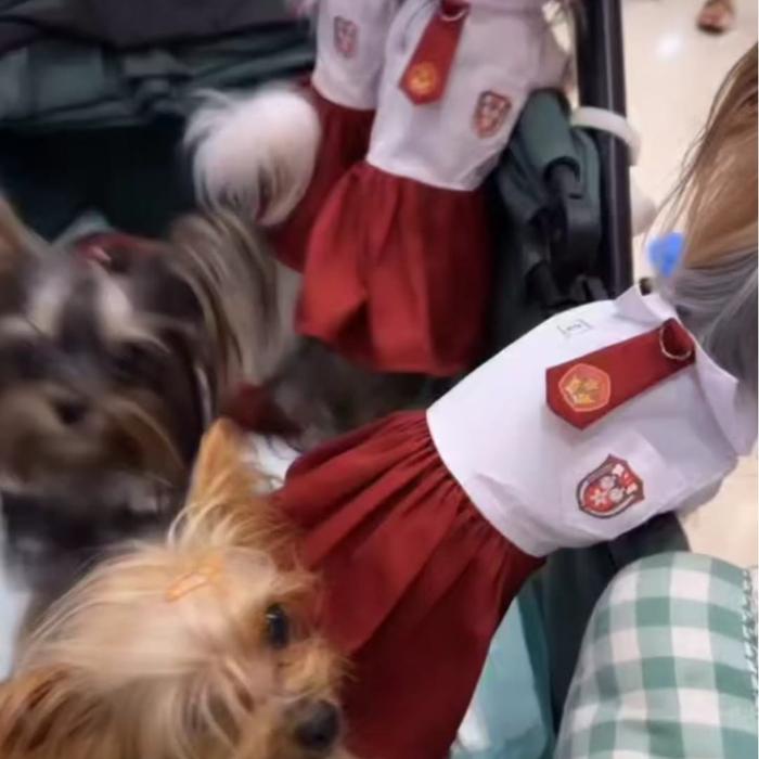 SCHOOL EDITION MIGO DESIGN E04 - BAJU SERAGAM SEKOLAH INDONESIA SD SMP SMA SMU COUPLE KUCING ANJING
