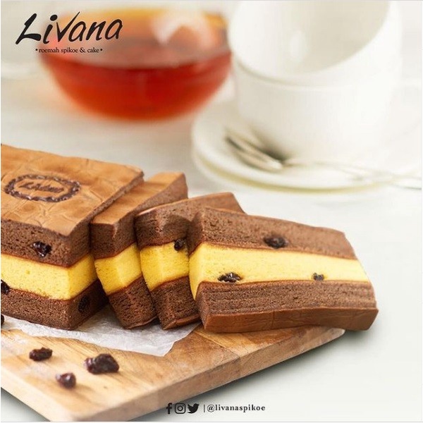 

SPIKOE COKLAT KISMIS KODE 670