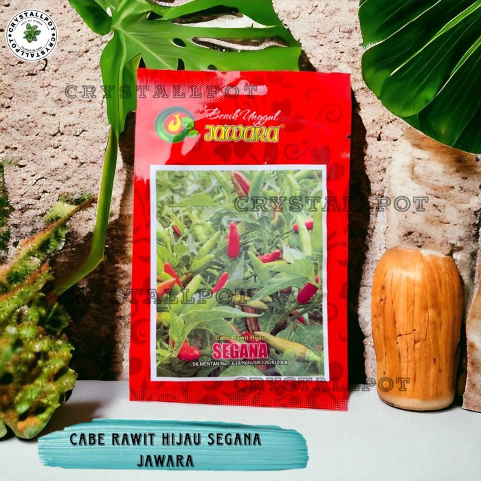 BENIH BIBIT CABE RAWIT HIJAU BENIH UNGGUL JAWARA - CABE RAWIT SEGANA