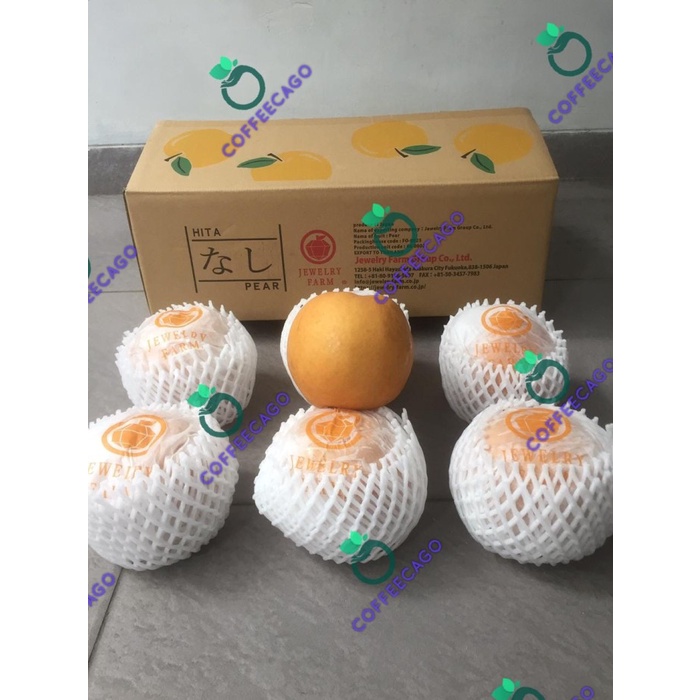 

Buah Pear Pir Hita Japanese 1 Dus (4.5 KG) Fresh Import