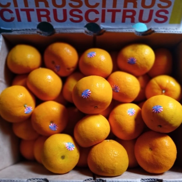 

jeruk HONEY MURCOT Australian ORANGES FRESH Import 1 dus 9kg