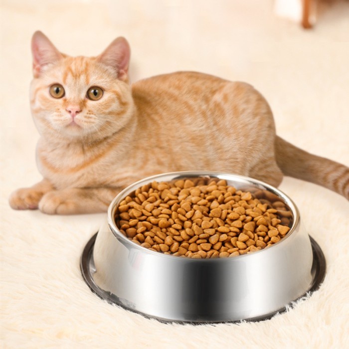 Terfavorit  Pet Stainless Steel Bowl / Mangkuk Stainless Kucing Anti Slip Mangkok Anjing Besar