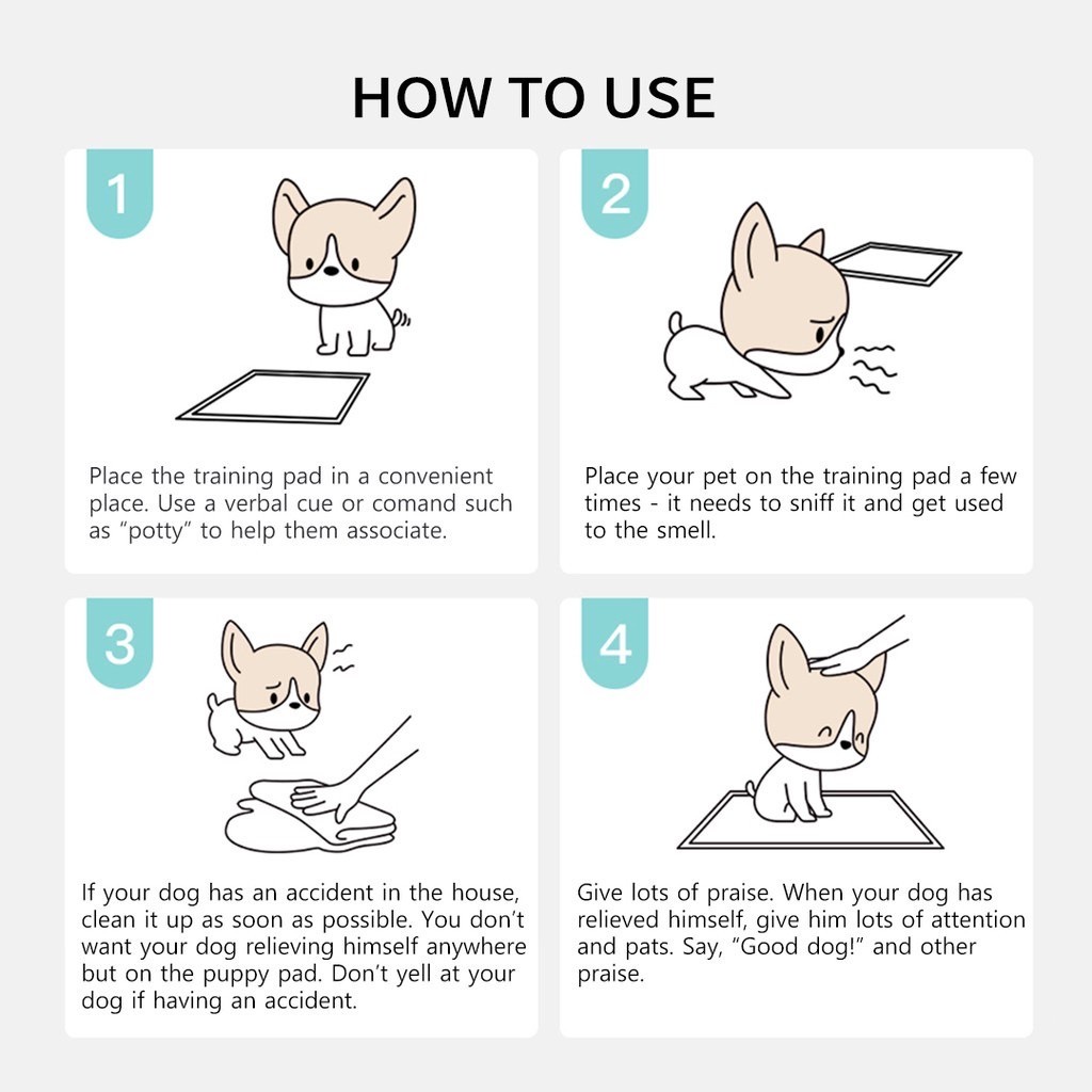 Awet Popok Kucing Perlak Kucing Anjing Popok Pad Anak Anjing Bayi Kucing Popok Anak Kucing Anjing