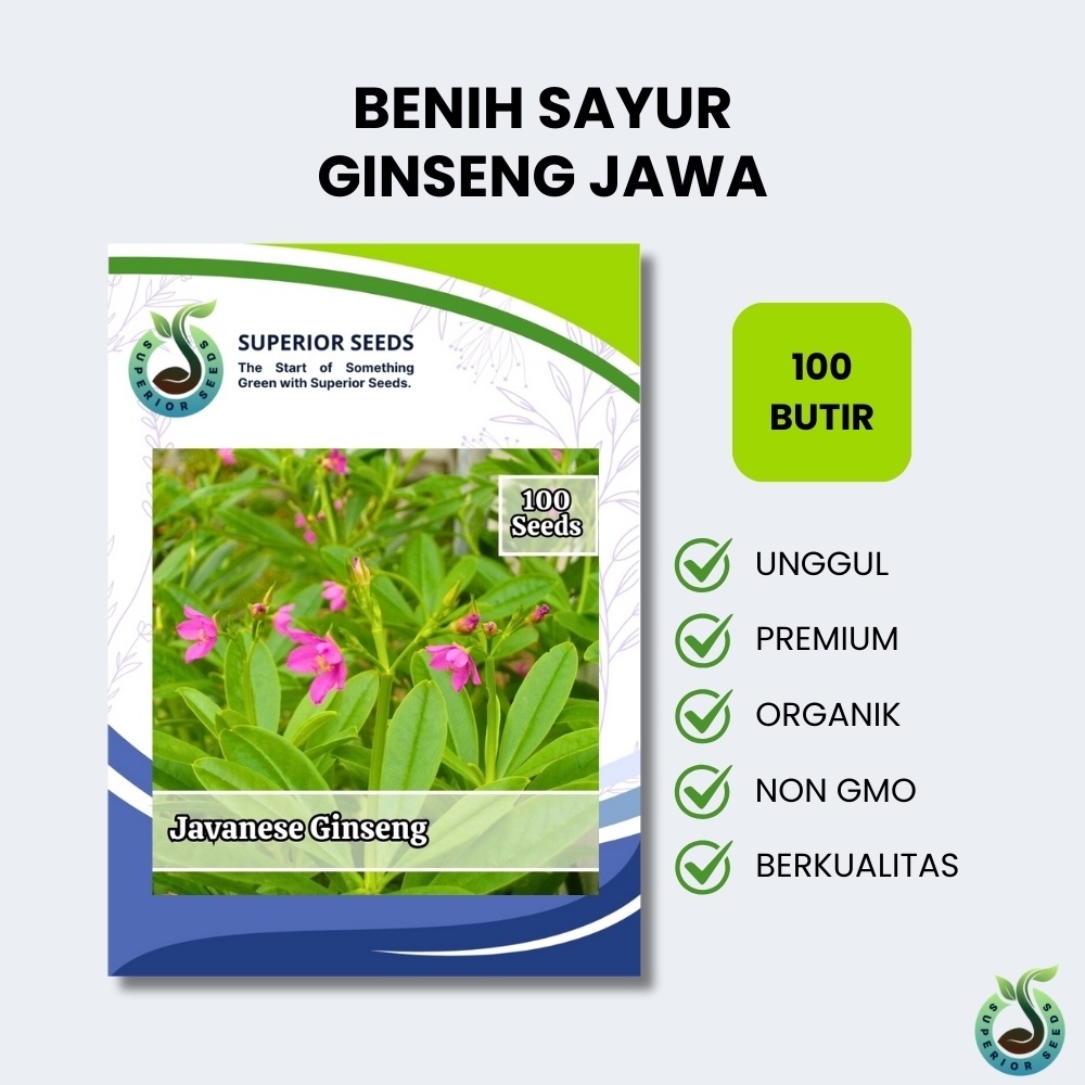 Biji Benih Sayuran Ginseng Jawa (Superior Seeds)