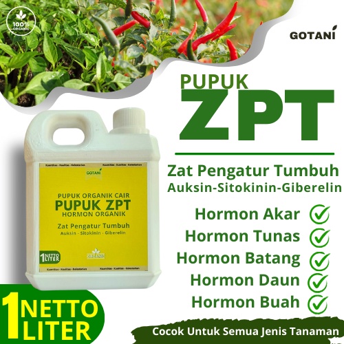Promo Pupuk Hormon Pertumbuhan/ Obat Pemacu Pertumbuhan Hormon Tanaman /Pupuk Penguat Bunga Dan