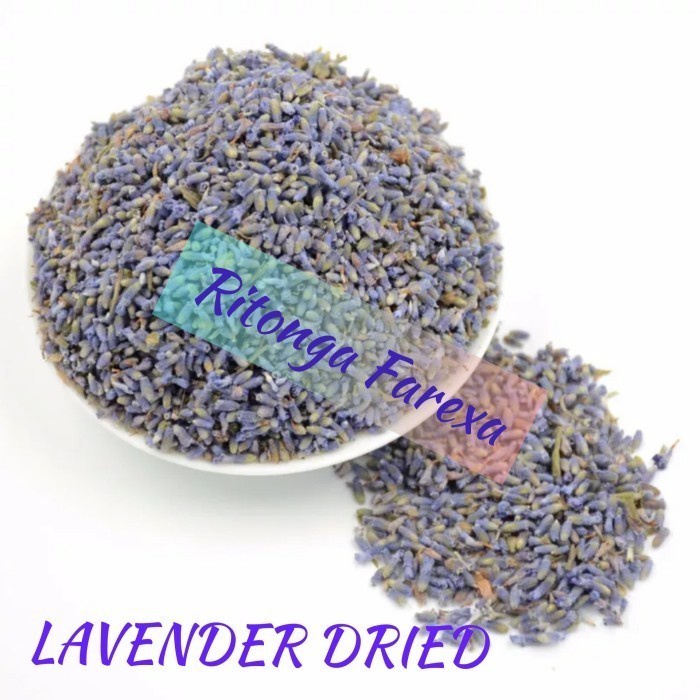 

Dried Lavender Flower Tea / Bunga Lavender Kering / Lavandula 50 GR