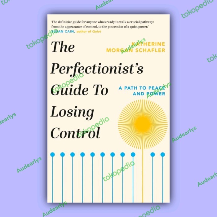 

Katherine Morgan Schafer - Perfectionist's Guide to Losing Control