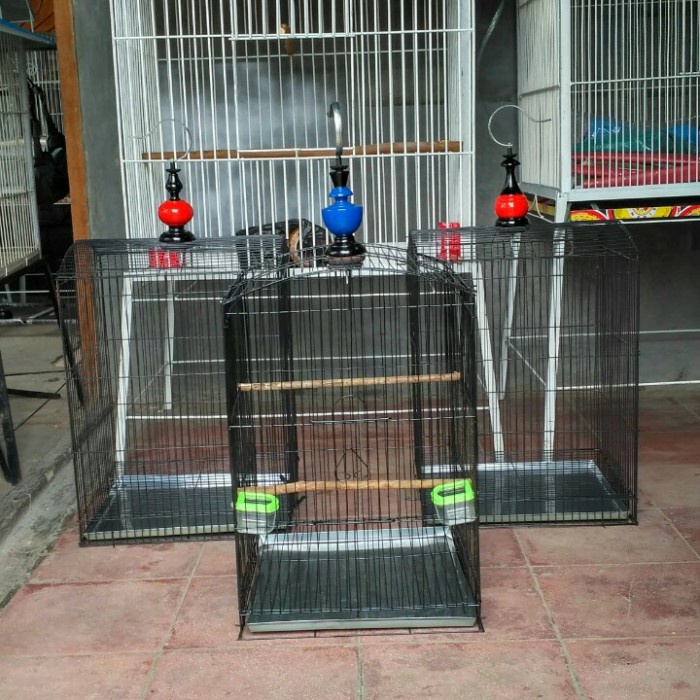 Kandang Kotak Besi Gantung