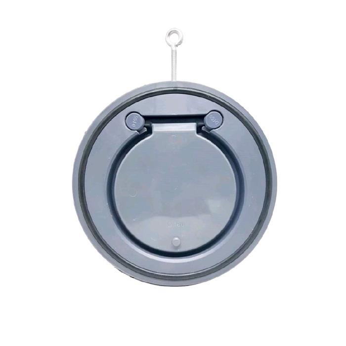 Wafer Check Valve PVC 4 inch Wafer Check Valve PVC DN100 Check Valve PVC JIS ANSI DIN Universal