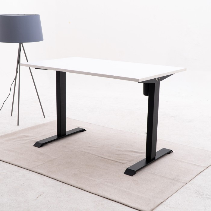 Palmo Single Motor Standing Desk / Adjustable Desk / Desk