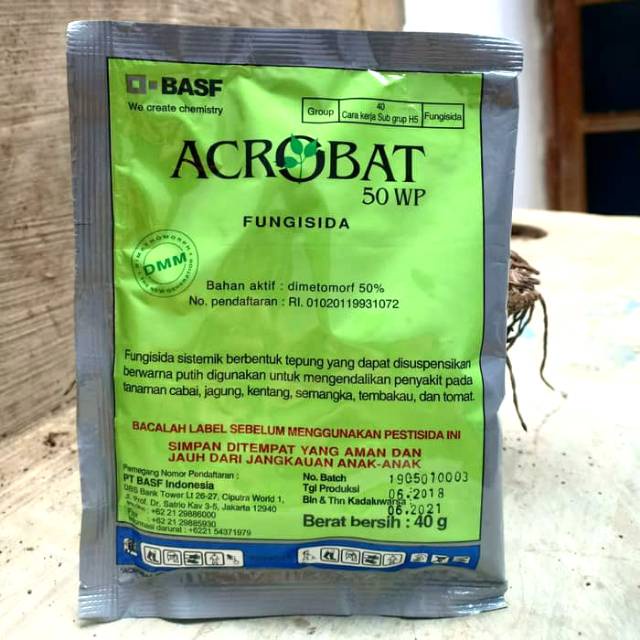 Acrobat 50WP 40gr