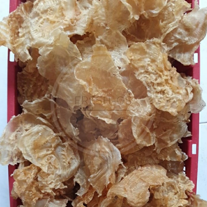 

BARANG TERLARIS perut lambung ikan kering yiphiau yi phiau hepio hupio hipio hu pio